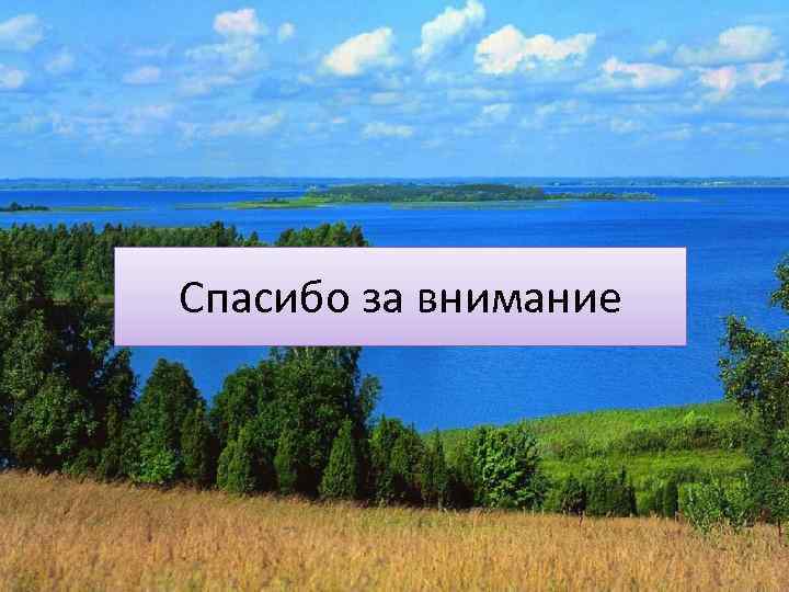 Спасибо за внимание 