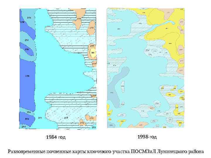 1984 год 1998 год Разновременные почвенные карты ключевого участка ПОСМЗи. Л Лунинецкого района 