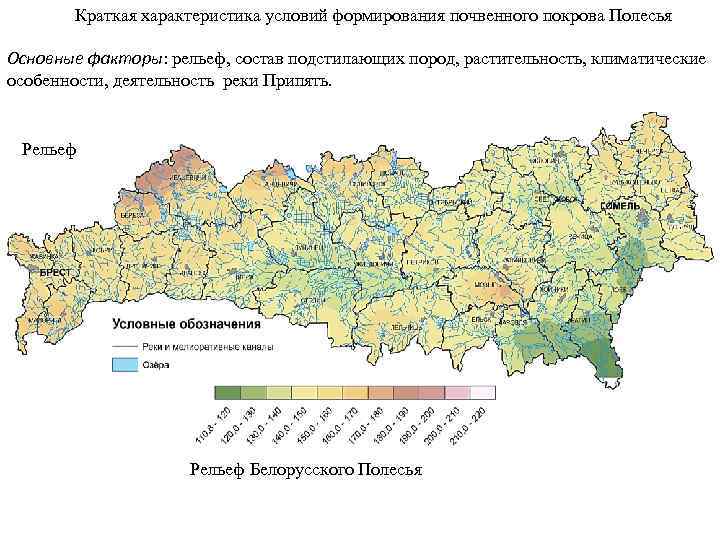 Полесье карта беларуси