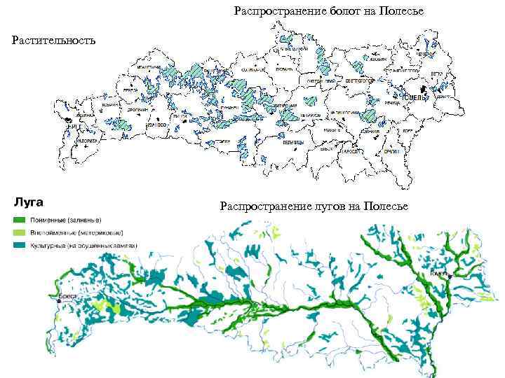 Белорусское полесье карта