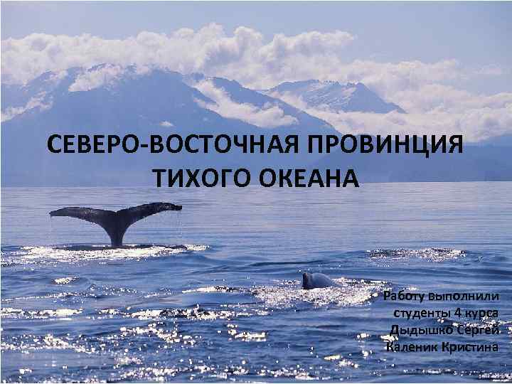 СЕВЕРО-ВОСТОЧНАЯ ПРОВИНЦИЯ ТИХОГО ОКЕАНА Работу выполнили студенты 4 курса Дыдышко Сергей Каленик Кристина 