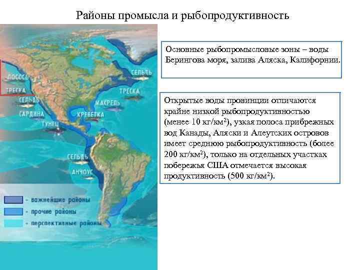 Жизнь в океане основные районы рыболовства. Основные районы рыбного промысла. Главные районы рыболовства в Атлантическом океане. Промысловые районы Атлантического океана.