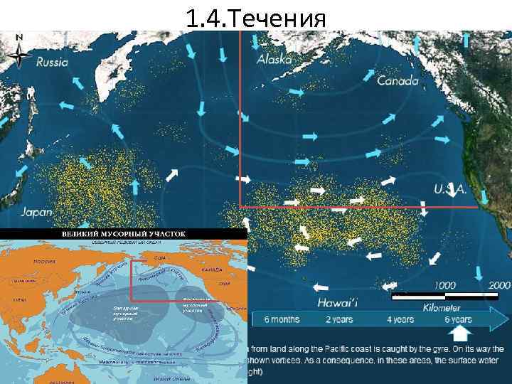 1. 4. Течения 