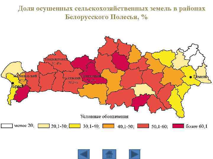 Доля осушенных сельскохозяйственных земель в районах Белорусского Полесья, % 