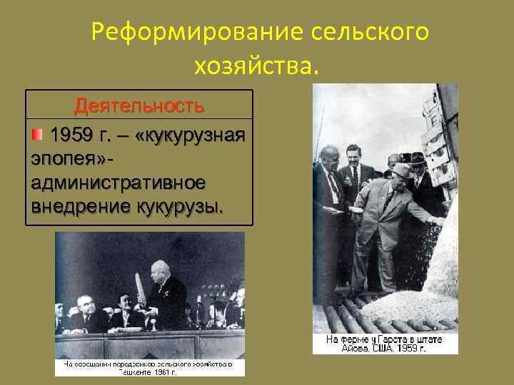 Реформирование сельского хозяйства. Деятельность 1959 г. – «кукурузная эпопея» административное внедрение кукурузы. 