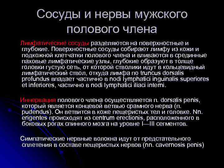 Сосуды и нервы мужского полового члена Лимфатические сосуды разделяются на поверхностные и глубокие. Поверхностные