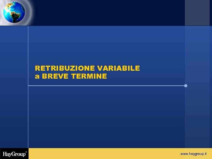 RETRIBUZIONE VARIABILE a BREVE TERMINE www. haygroup. it 