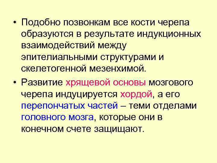  • Подобно позвонкам все кости черепа образуются в результате индукционных взаимодействий между эпителиальными