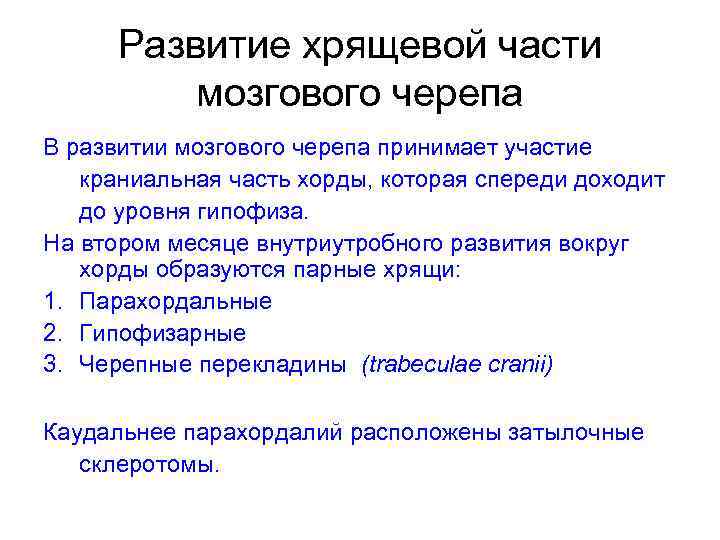 Развитие хрящевой части мозгового черепа В развитии мозгового черепа принимает участие краниальная часть хорды,