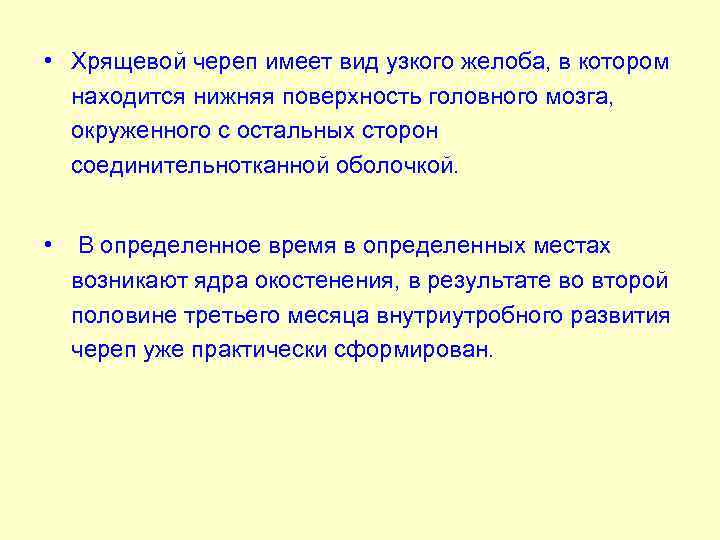  • Хрящевой череп имеет вид узкого желоба, в котором находится нижняя поверхность головного