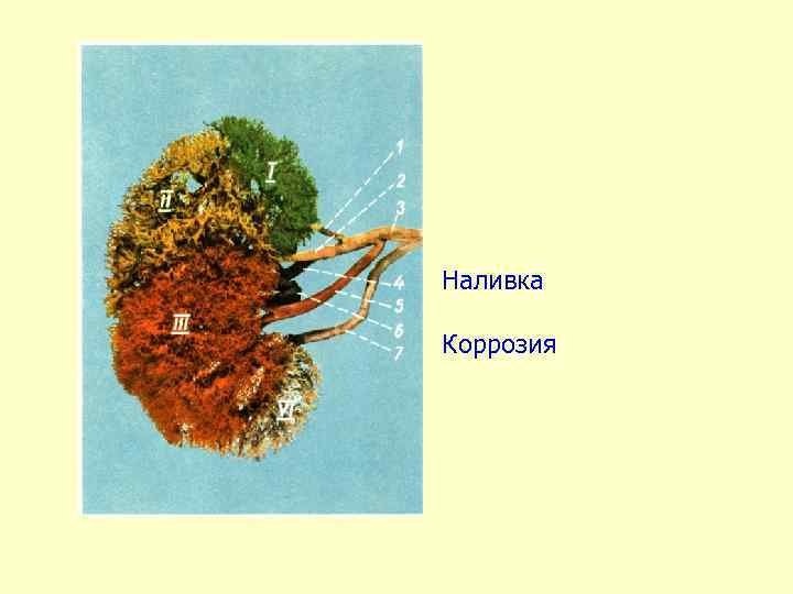 Наливка Коррозия 