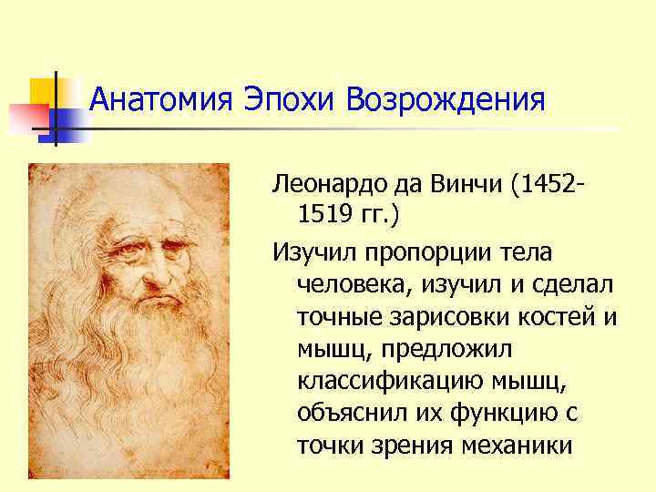 Анатомия Эпохи Возрождения Леонардо да Винчи (14521519 гг. ) Изучил пропорции тела человека, изучил