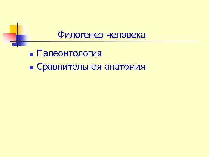 Филогенез человека n n Палеонтология Сравнительная анатомия 