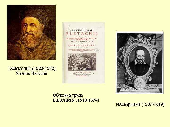 Г. Фаллопий (1523 -1562) Ученик Везалия Обложка труда Б. Евстахия (1510 -1574) И. Фабриций