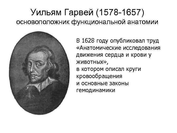 Уильям Гарвей (1578 -1657) основоположник функциональной анатомии В 1628 году опубликовал труд «Анатомические исследования