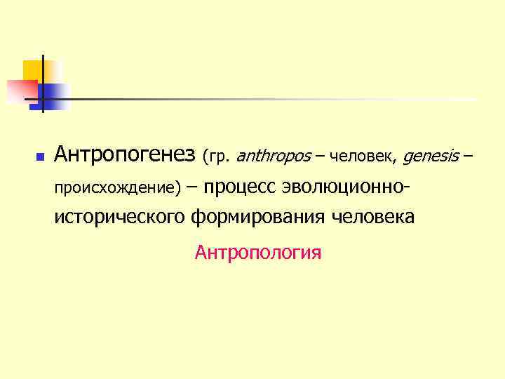 n Антропогенез (гр. anthropos – человек, genesis – происхождение) – процесс эволюционно- исторического формирования