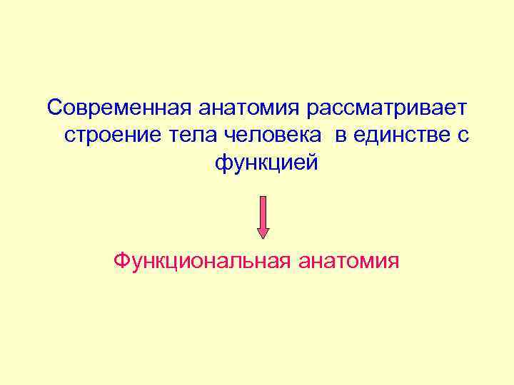 Современная анатомия рассматривает строение тела человека в единстве с функцией Функциональная анатомия 