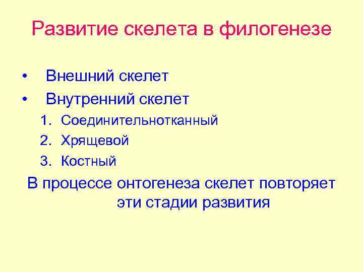 Развитие скелета в филогенезе • • Внешний скелет Внутренний скелет 1. Соединительнотканный 2. Хрящевой