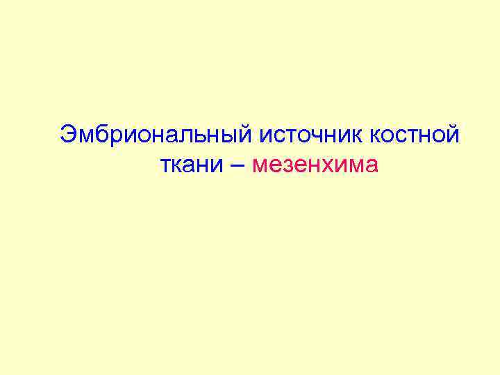 Эмбриональный источник костной ткани – мезенхима 