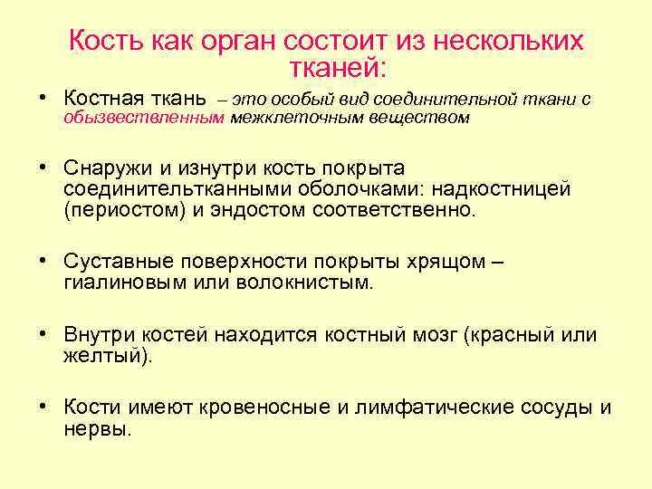 Кость как орган состоит из нескольких тканей: • Костная ткань – это особый вид