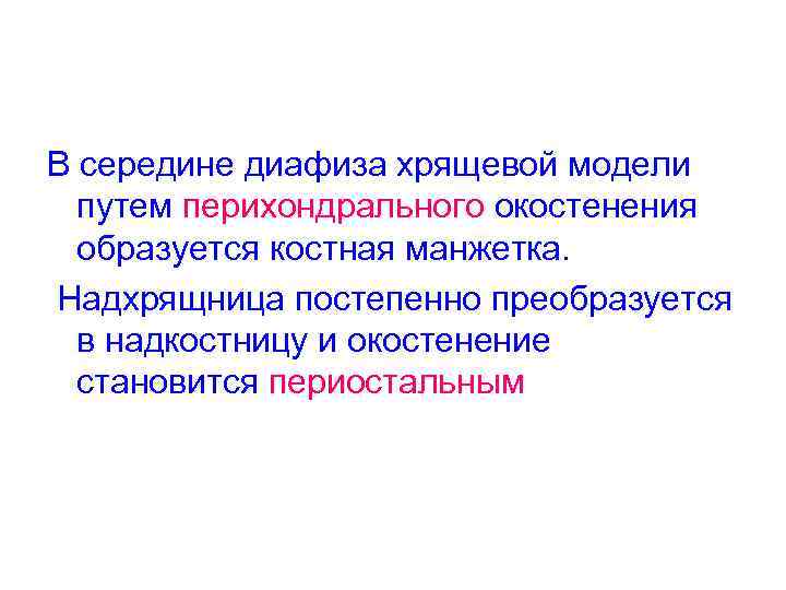 В середине диафиза хрящевой модели путем перихондрального окостенения образуется костная манжетка. Надхрящница постепенно преобразуется