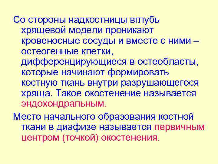 Со стороны надкостницы вглубь хрящевой модели проникают кровеносные сосуды и вместе с ними –