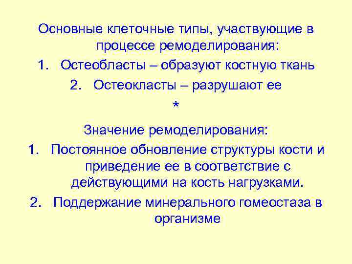 Основные клеточные типы, участвующие в процессе ремоделирования: 1. Остеобласты – образуют костную ткань 2.