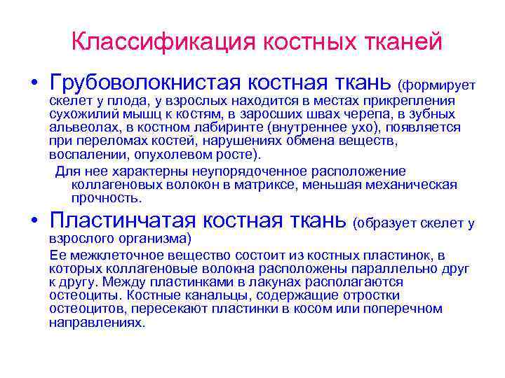 Классификация костных тканей • Грубоволокнистая костная ткань (формирует скелет у плода, у взрослых находится