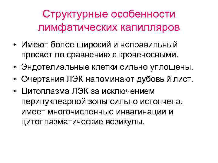 Структурные особенности лимфатических капилляров • Имеют более широкий и неправильный просвет по сравнению с