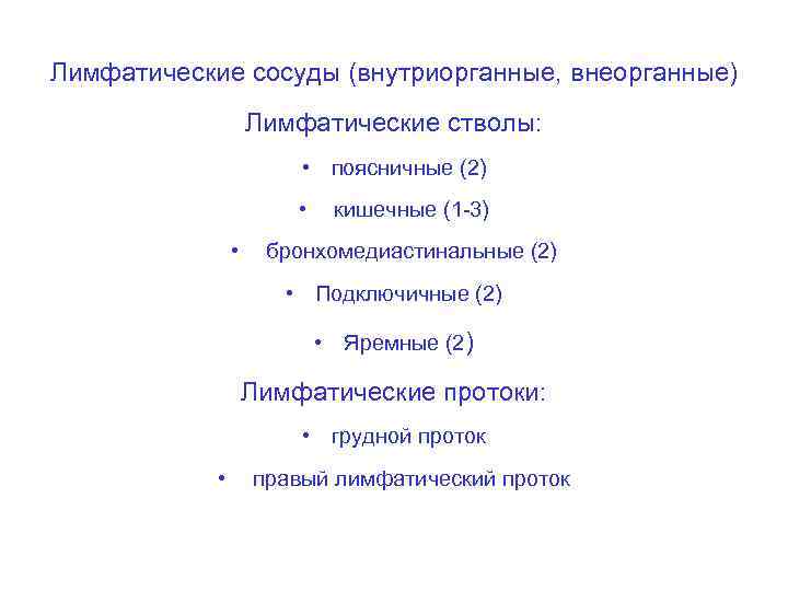 Лимфатические сосуды (внутриорганные, внеорганные) Лимфатические стволы: • поясничные (2) • • кишечные (1 -3)