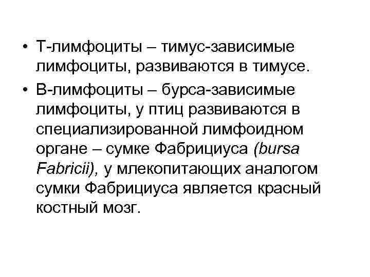  • Т-лимфоциты – тимус-зависимые лимфоциты, развиваются в тимусе. • В-лимфоциты – бурса-зависимые лимфоциты,