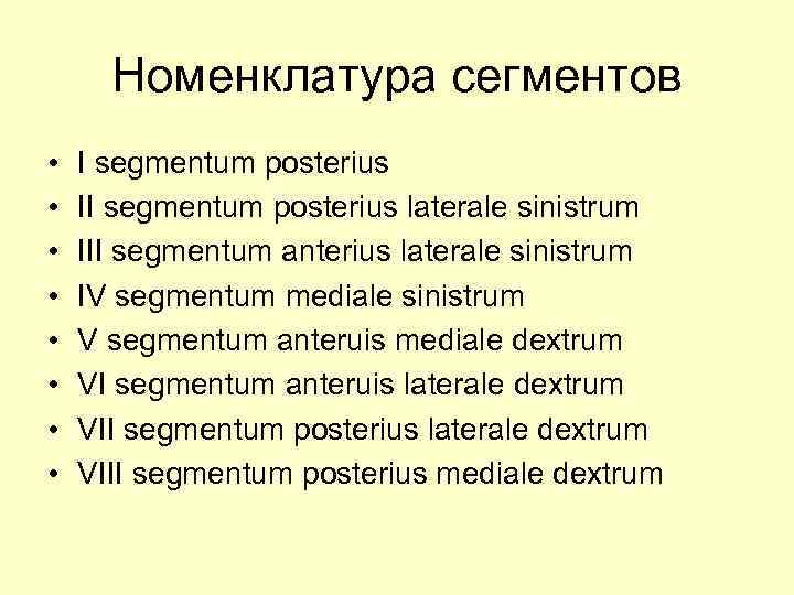 Номенклатура сегментов • • I segmentum posterius II segmentum posterius laterale sinistrum III segmentum