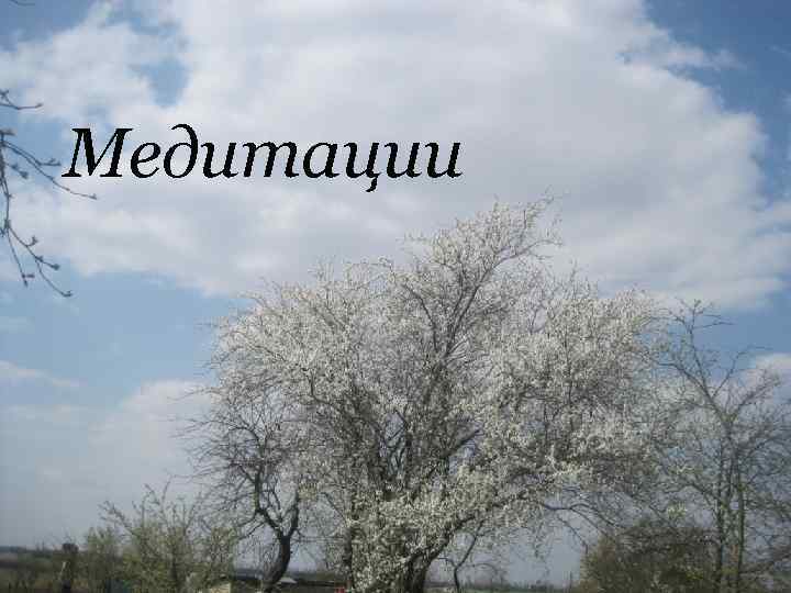 Медитации 