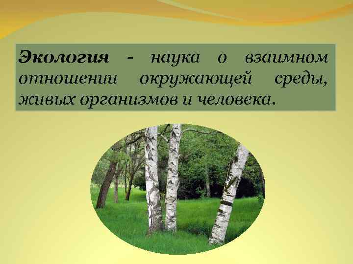 Экология - наука о взаимном отношении окружающей среды, живых организмов и человека. 