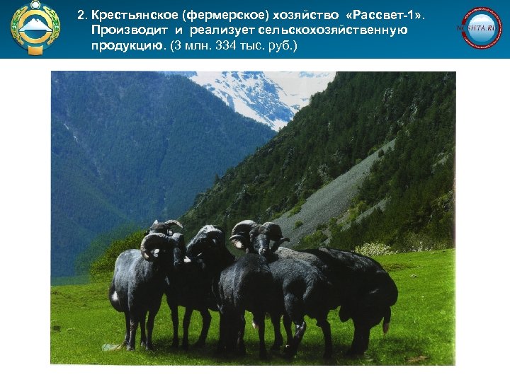  2. Крестьянское (фермерское) хозяйство «Рассвет-1» . Производит и реализует сельскохозяйственную продукцию. (3 млн.