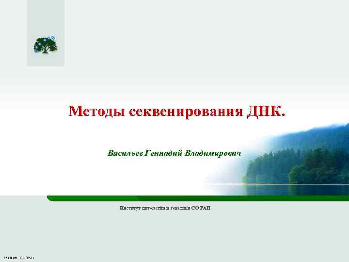 Методы секвенирования ДНК. Васильев Геннадий Владимирович Институт цитологии и генетики СО РАН 