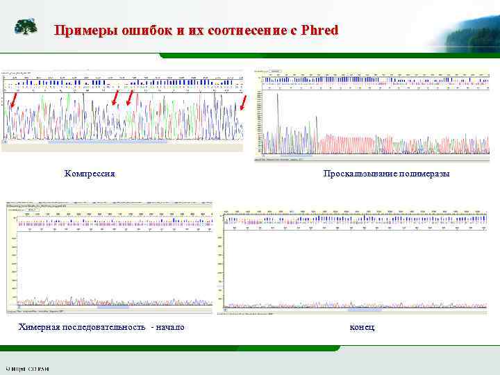 Примеры ошибок и их соотнесение с Phred Компрессия Химерная последовательность - начало Проскальзывание полимеразы