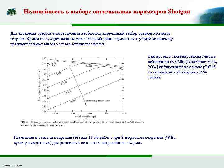 Нелинейность в выборе оптимальных параметров Shotgun Для экономии средств в ходе проекта необходим корректный