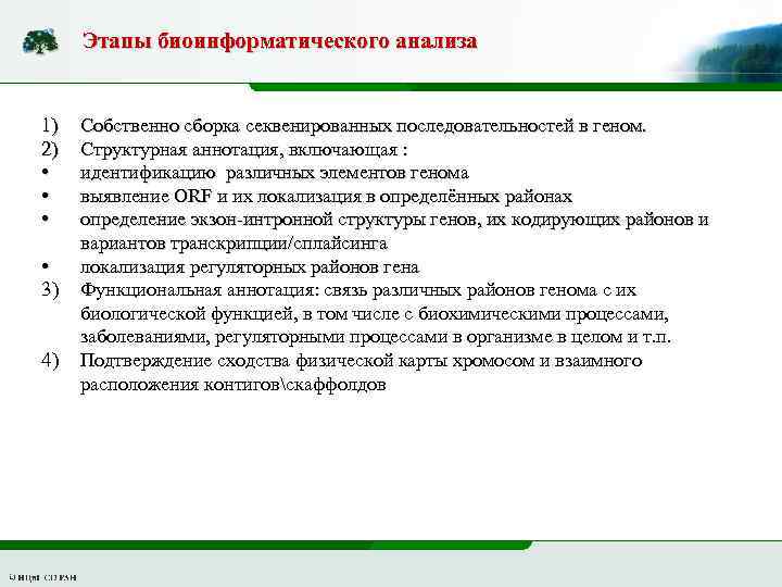 Этапы биоинформатического анализа 1) 2) • • 3) 4) Собственно сборка секвенированных последовательностей в