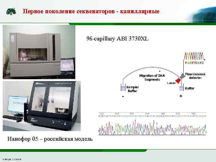 Первое поколение секвенаторов - капиллярные 96 -capillary ABI 3730 XL Нанофор 05 – российская