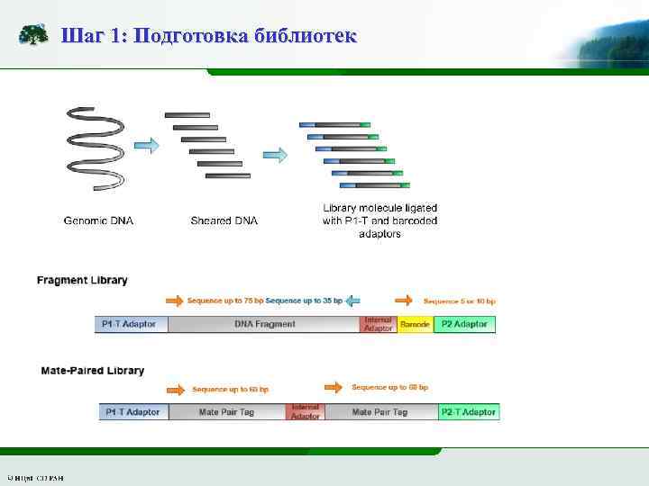 Шаг 1: Подготовка библиотек 