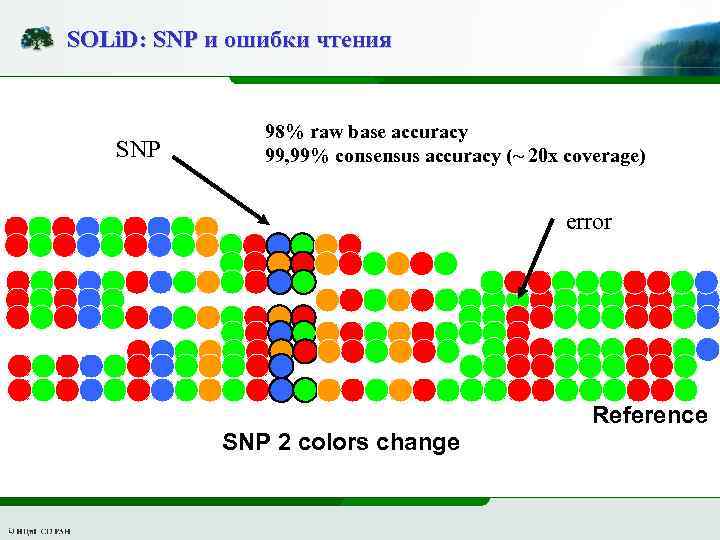 SOLi. D: SNP и ошибки чтения SNP 98% raw base accuracy 99, 99% consensus
