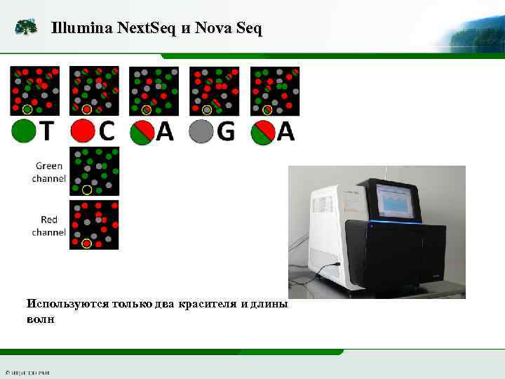 Illumina Next. Seq и Nova Seq Используются только два красителя и длины волн 