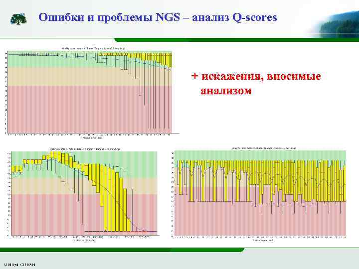 Ошибки и проблемы NGS – анализ Q-scores + искажения, вносимые анализом 