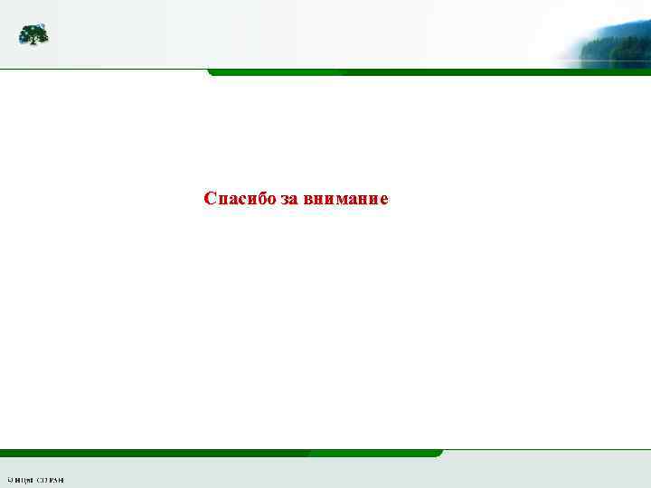 Спасибо за внимание 