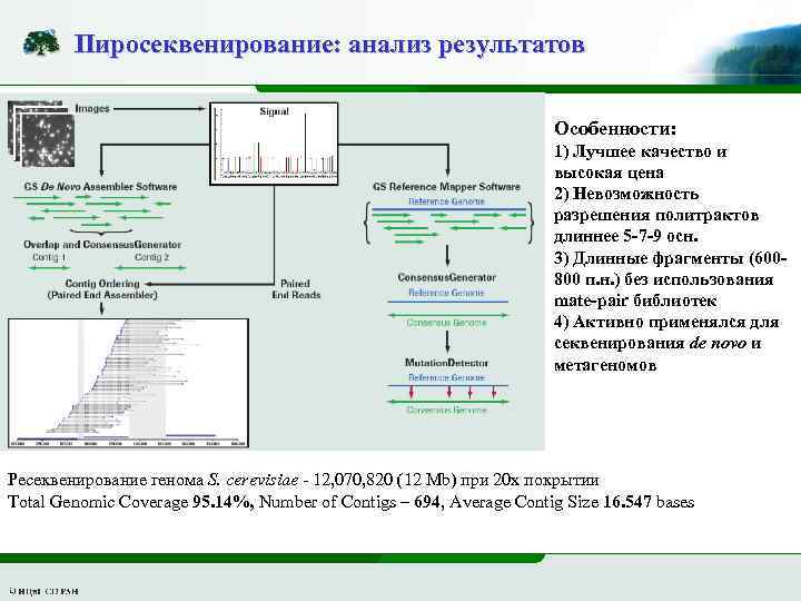 Пиросеквенирование: анализ результатов Особенности: 1) Лучшее качество и высокая цена 2) Невозможность разрешения политрактов