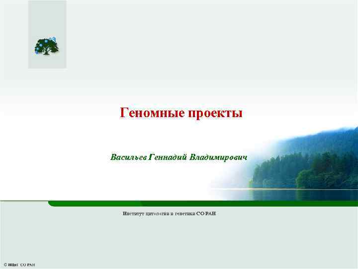 Геномные проекты Васильев Геннадий Владимирович Институт цитологии и генетики СО РАН 