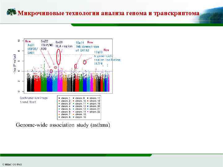 Микрочиповые технологии анализа генома и транскриптома 