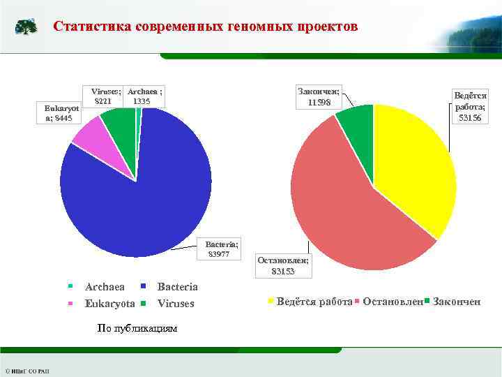 Современная статистика