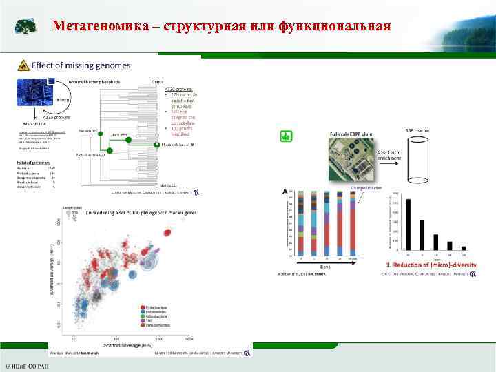 Метагеномика – структурная или функциональная 